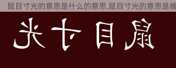 鼠目寸光的意思是什么的意思,鼠目寸光的意思是啥