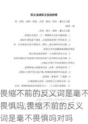 畏缩不前的反义词是毫不畏惧吗,畏缩不前的反义词是毫不畏惧吗对吗