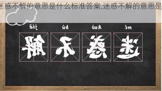 迷惑不解的意思是什么标准答案,迷惑不解的意思是?