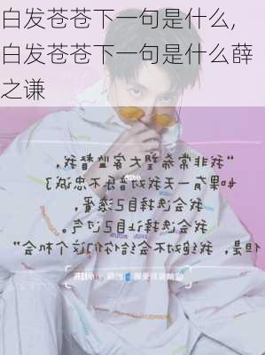 白发苍苍下一句是什么,白发苍苍下一句是什么薛之谦