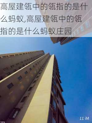 高屋建瓴中的瓴指的是什么蚂蚁,高屋建瓴中的瓴指的是什么蚂蚁庄园