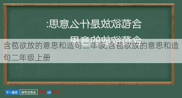 含苞欲放的意思和造句二年级,含苞欲放的意思和造句二年级上册