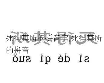 死得其所的拼音字,死得其所 的拼音