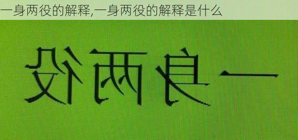 一身两役的解释,一身两役的解释是什么