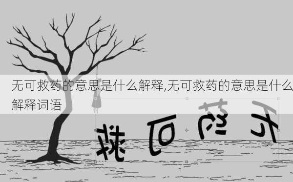 无可救药的意思是什么解释,无可救药的意思是什么解释词语