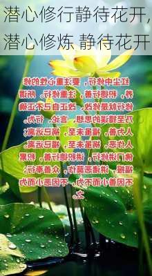 潜心修行静待花开,潜心修炼 静待花开