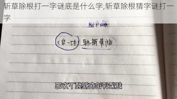 斩草除根打一字谜底是什么字,斩草除根猜字谜打一字