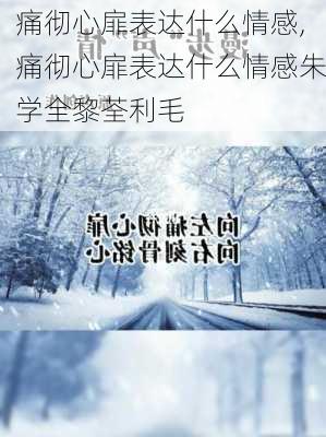 痛彻心扉表达什么情感,痛彻心扉表达什么情感朱学全黎荃利毛