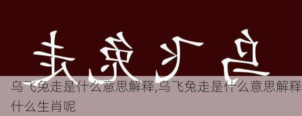 乌飞兔走是什么意思解释,乌飞兔走是什么意思解释什么生肖呢