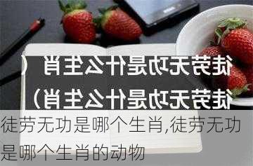 徒劳无功是哪个生肖,徒劳无功是哪个生肖的动物