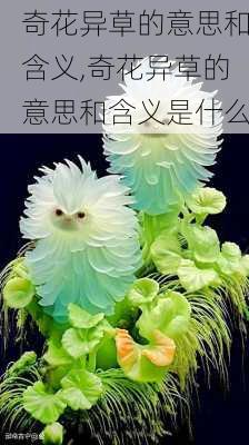 奇花异草的意思和含义,奇花异草的意思和含义是什么