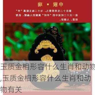 玉质金相形容什么生肖和动物,玉质金相形容什么生肖和动物有关