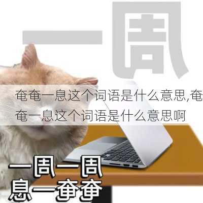 奄奄一息这个词语是什么意思,奄奄一息这个词语是什么意思啊