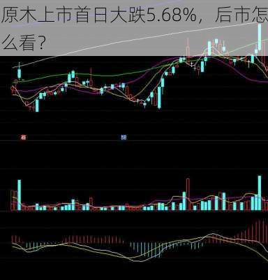 原木上市首日大跌5.68%，后市怎么看？