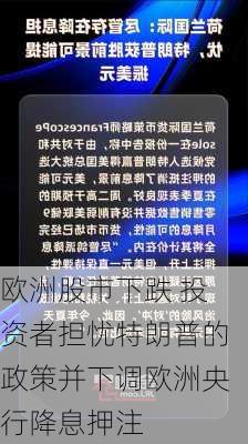 欧洲股市下跌 投资者担忧特朗普的政策并下调欧洲央行降息押注