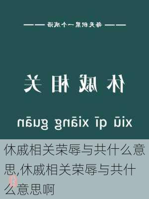 休戚相关荣辱与共什么意思,休戚相关荣辱与共什么意思啊