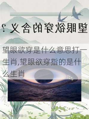 望眼欲穿是什么意思打一生肖,望眼欲穿指的是什么生肖