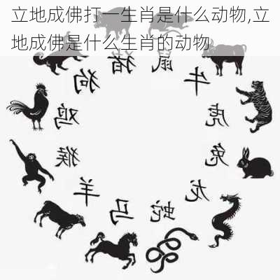 立地成佛打一生肖是什么动物,立地成佛是什么生肖的动物