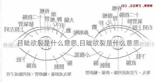 目眦欲裂是什么意思,目眦欲裂是什么意思